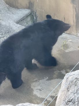 恩賜上野動物園に投稿された画像（2025/12/16）