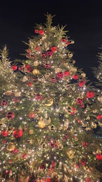 Christmas Market in 横浜赤レンガ倉庫 2025に投稿された画像（2025/12/16）