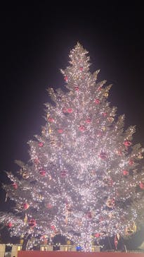 Christmas Market in 横浜赤レンガ倉庫 2025に投稿された画像（2025/12/16）