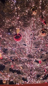 Christmas Market in 横浜赤レンガ倉庫 2025に投稿された画像（2025/12/16）