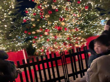 Christmas Market in 横浜赤レンガ倉庫 2025に投稿された画像（2025/12/16）