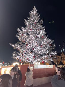 Christmas Market in 横浜赤レンガ倉庫 2025に投稿された画像（2025/12/16）