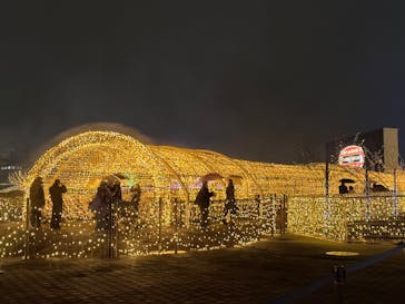 東京メガイルミに投稿された画像（2025/12/16）