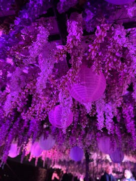 東京メガイルミに投稿された画像（2025/12/16）