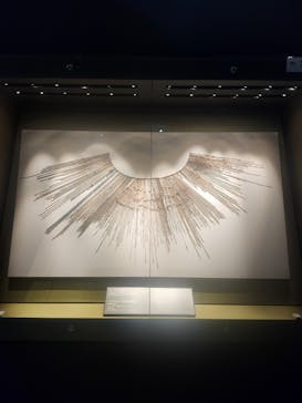 CREVIA マチュピチュ展／CREVIA MACHU PICCHU AND THE GOLDEN EMPIRES OF PERUに投稿された画像（2025/12/16）