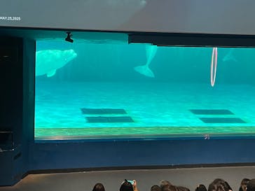 鴨川シーワールドに投稿された画像（2025/12/17）