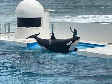 鴨川シーワールドに投稿された画像（2025/12/17）