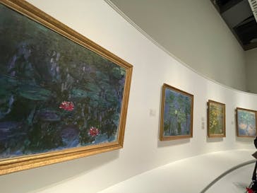 モネ 睡蓮のとき（国立西洋美術館）に投稿された画像（2025/12/17）
