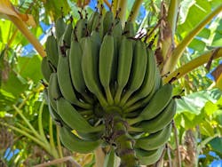 オルタナティブファーム宮古に投稿された画像（2025/12/16）