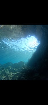 武藤潜水に投稿された画像（2025/12/17）