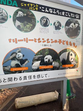 恩賜上野動物園に投稿された画像（2025/12/17）