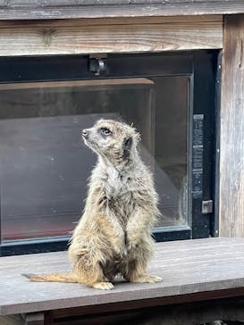 恩賜上野動物園に投稿された画像（2025/12/17）
