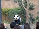 恩賜上野動物園に投稿された画像（2025/12/17）