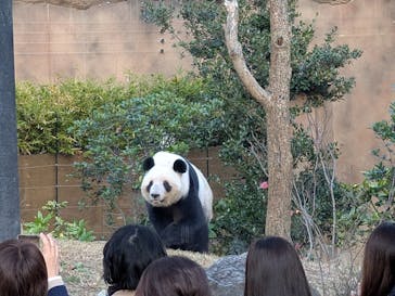 恩賜上野動物園に投稿された画像（2025/12/17）