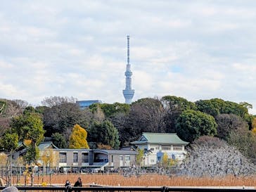 恩賜上野動物園に投稿された画像（2025/12/17）