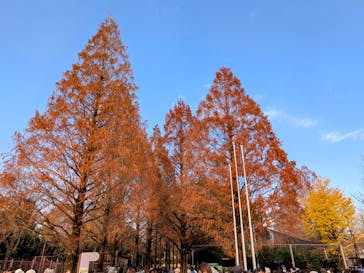 恩賜上野動物園に投稿された画像（2025/12/17）
