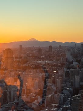 東京タワーに投稿された画像（2025/12/17）