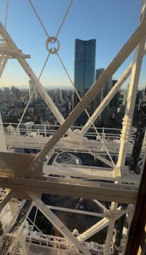 東京タワーに投稿された画像（2025/12/17）