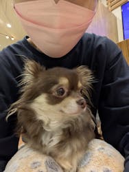 いぬカフェRio 下北沢店に投稿された画像（2025/12/17）