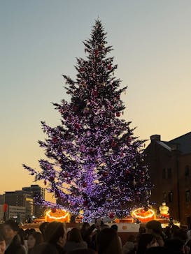 Christmas Market in 横浜赤レンガ倉庫 2025に投稿された画像（2025/12/17）