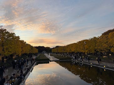 国営昭和記念公園 秋の夜散歩に投稿された画像（2025/12/17）