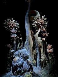 金曜ロードショーとジブリ展（静岡展）に投稿された画像（2025/12/17）