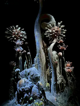 金曜ロードショーとジブリ展（静岡展）に投稿された画像（2025/12/17）