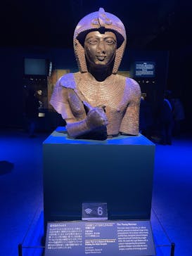 CREVIA マチュピチュ展／CREVIA MACHU PICCHU AND THE GOLDEN EMPIRES OF PERUに投稿された画像（2025/12/17）