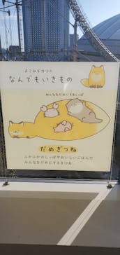 東京ドーム天然温泉 スパ ラクーアに投稿された画像（2025/12/17）