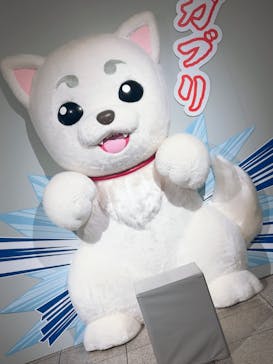 生誕20周年記念　銀魂展　～はたちのつどい～に投稿された画像（2025/12/17）