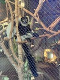 恩賜上野動物園に投稿された画像（2025/12/17）