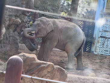 恩賜上野動物園に投稿された画像（2025/12/17）