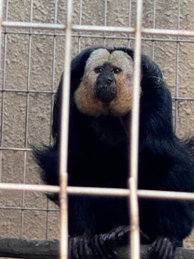 恩賜上野動物園に投稿された画像（2025/12/17）