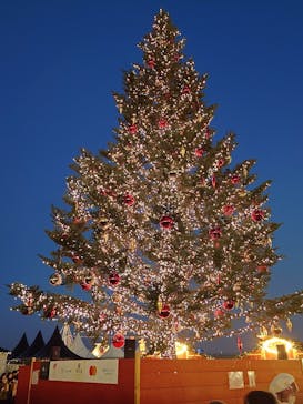 Christmas Market in 横浜赤レンガ倉庫 2025に投稿された画像（2025/12/17）