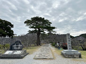 今帰仁城跡に投稿された画像（2025/12/17）