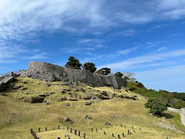 今帰仁城跡に投稿された画像（2025/12/17）