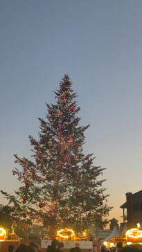 Christmas Market in 横浜赤レンガ倉庫 2025に投稿された画像（2025/12/17）