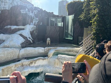 恩賜上野動物園に投稿された画像（2025/12/17）