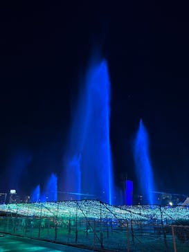 東京メガイルミに投稿された画像（2025/12/17）