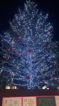 Christmas Market in 横浜赤レンガ倉庫 2025に投稿された画像（2025/12/17）