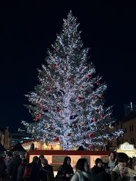 Christmas Market in 横浜赤レンガ倉庫 2025に投稿された画像（2025/12/17）