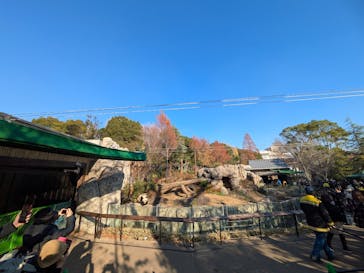 恩賜上野動物園に投稿された画像（2025/12/17）