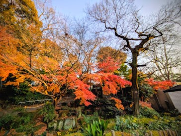 恩賜上野動物園に投稿された画像（2025/12/17）