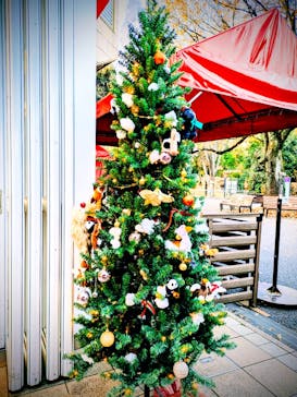 恩賜上野動物園に投稿された画像（2025/12/17）