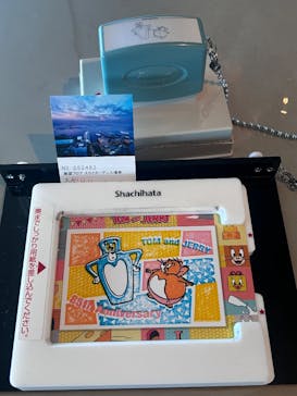 横浜ランドマークタワー 69階展望フロア スカイガーデンに投稿された画像（2025/12/17）