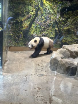 恩賜上野動物園に投稿された画像（2025/12/17）