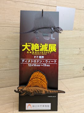 特別展「大絶滅展―生命史のビッグファイブ」に投稿された画像（2025/12/17）