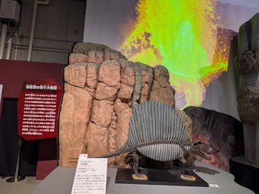 特別展「大絶滅展―生命史のビッグファイブ」に投稿された画像（2025/12/17）