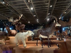 国立科学博物館に投稿された画像（2025/12/17）