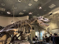 国立科学博物館に投稿された画像（2025/12/17）